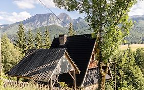 Puciówka